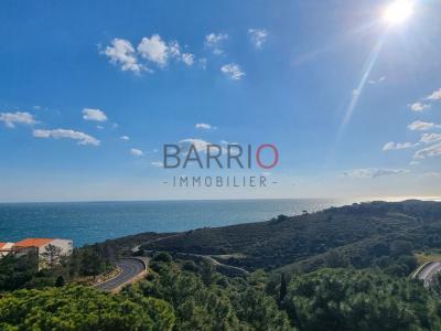 Appartement+banyuls-sur-mer+55+m%26sup2%3B+2+pi%26egrave%3Bces