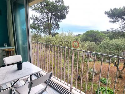 Appartement+banyuls-sur-mer+45+m%26sup2%3B+2+pi%26egrave%3Bces