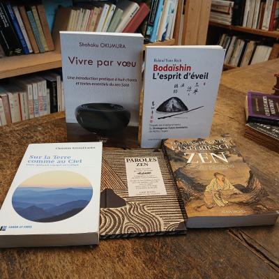 Lote De 5 Libros Experiencia Zen Letras Zen Boda�shin Del Awakening