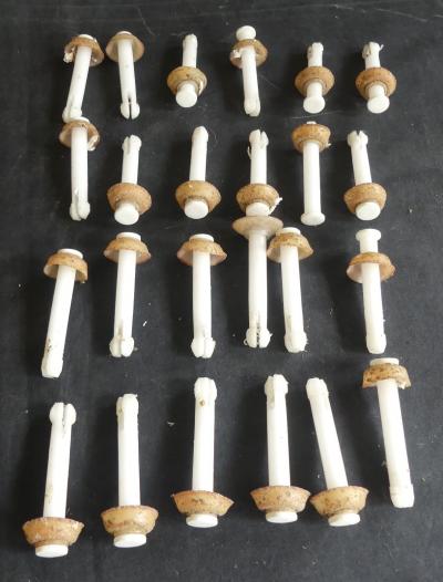 Lot de 24 attaches de tubes �8 mm  Piscine hors sol  Clips de maintien REF 6257