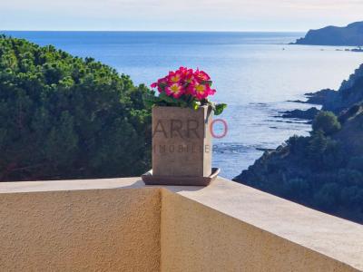 Appartement+banyuls-sur-mer+60+m%26sup2%3B+3+pi%26egrave%3Bces