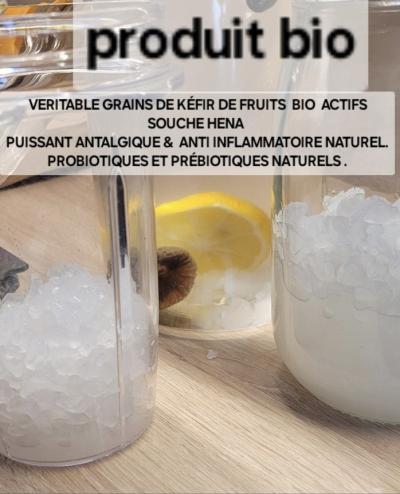 GRAINS DE K�FIR DE FRUITS SOUCHE HENA Bio 50g Antalgique NATUREL. HAUTEQUALIT�