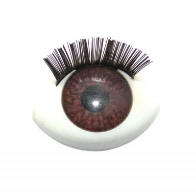 Oeil pour poup�e PetitCollin N 1
