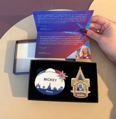 coffret exclusif reine des neiges disneyland paris