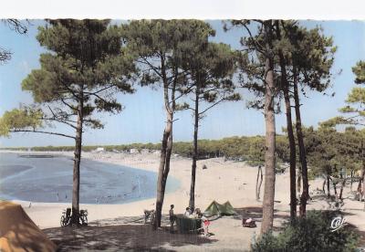35 SAINT BRIAC SUR MER LA PLAGE ET LES PINS