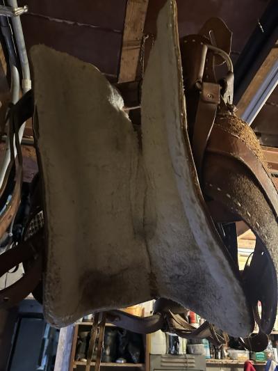 Selle Am�ricaine De Cheval