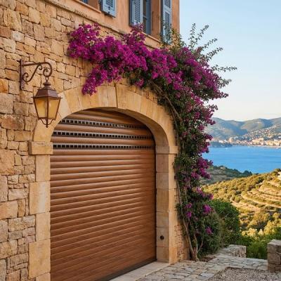 Porte de Garage Enroulable Motoris�e Sur Mesure | Avec Hublots