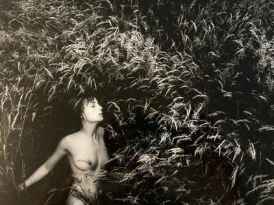 Grande Photo Argentique Daniel Barreau Femme Nue Art Nu Champ Photographie 1970
