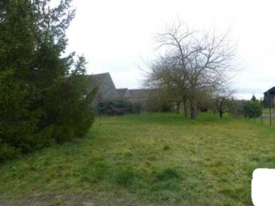 Terrain+la-neuville-sur-essonne+985+m%26sup2%3B+0+pi%26egrave%3Bces