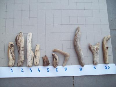LOT DE 10 MORCEAUX DE BOIS FLOTTE POUR CR�ATION D�CO  (N�4)