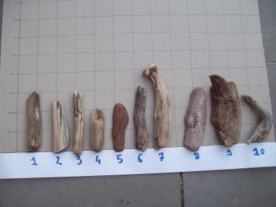 LOT DE 10 MORCEAUX DE BOIS FLOTTE POUR CR�ATION D�CO  (N�3)