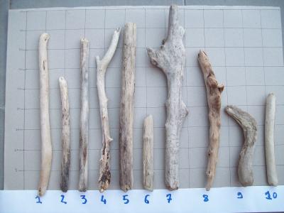 LOT DE 10 MORCEAUX DE BOIS FLOTTE POUR CR�ATION D�CO