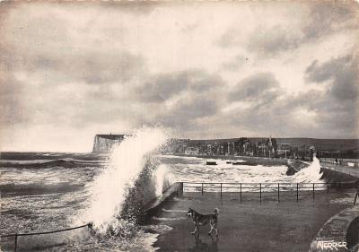 80 MERS LES BAINS PHOTOGRAPHIE VERTAIZE
