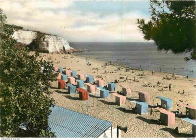 Carte Postale   17   Meschers sur Gironde   La Plage   Mention Photographie V�ri