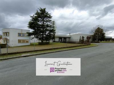 Professionnel+les-herbiers+8800+m%26sup2%3B+0+pi%26egrave%3Bces