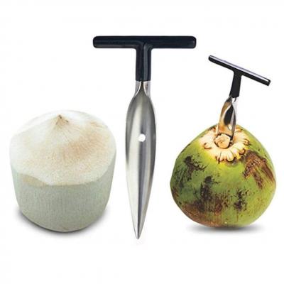 Outil D'ouverture de Noix de Coco en Acier Inoxydable Grattoir � Noix de Coco...