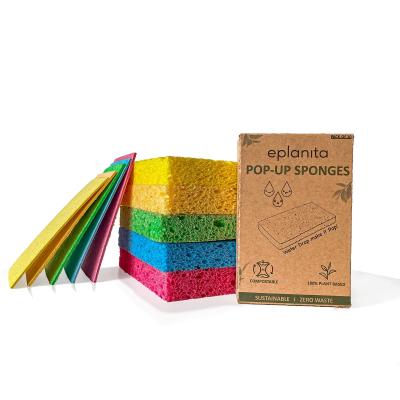 �ponges Popup en Cellulose Naturelle Lot de 10, compostables, Nettoyage sans ...