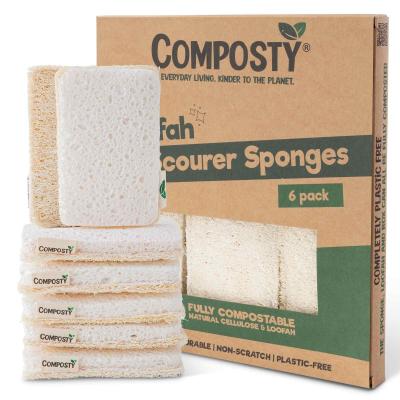 Lot de 6 �ponges en luffa pour vaisselle | prim�es | �ponge de cuisine �colog...