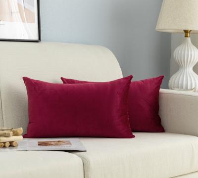 Lot de 2 taies d'oreiller en velours pour canap� et lit, housses de coussins,...