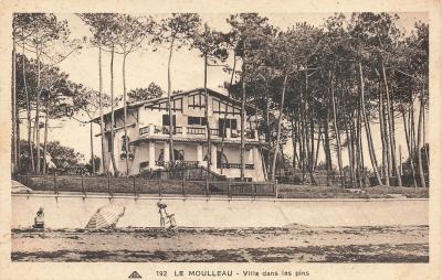 33 LE MOULLEAU VILLA DANS LES PINS