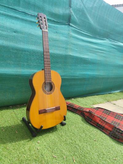 Guitare Flamenca Ricardo Vicente sanchis de 1960