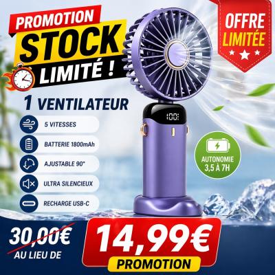 Ventilateur USB Portable Rechargeable Pliable Silencieux 5 vitesses Main Compact