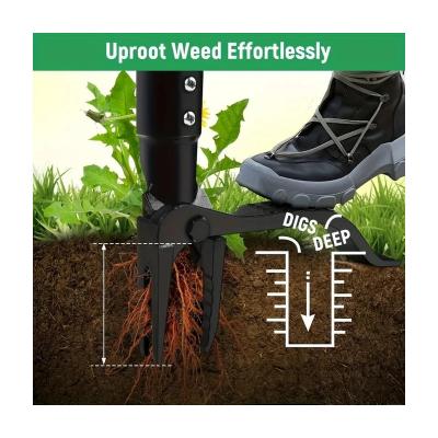 Extracteur Mauvaises Herbes 4 Broches Acier Inoxydable Pelouse