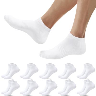 10 Paires Chaussette Hommes Socquettes Femme Coton Chaussettes Basses Sport