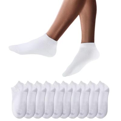 Chaussettes de Basket 10 Paires Mi Courtes Coton Unisexe Hommes Femmes OEKO TEX