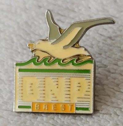 Pins banque BNP Brest. oiseau