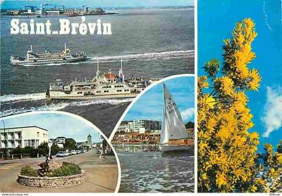 Carte Postale   44   Saint Br�vin les Pins   Multivues   Bateaux   Voile   Autom