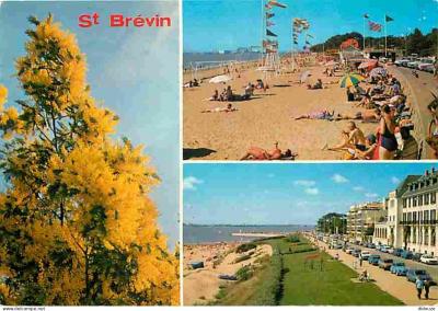 Carte Postale   44   Saint Br�vin les Pins   Multivues   Fleurs   Automobiles