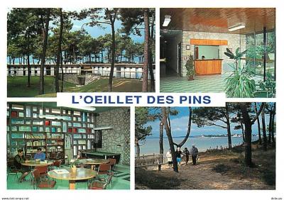 Carte Postale   17   Saint Georges de Didonne   L' illet des Pins � Suzac   Mult