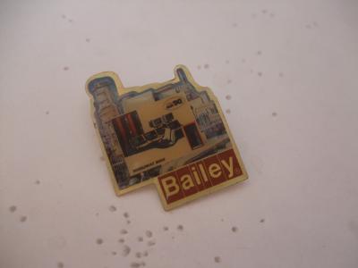 PINS  BAILEY