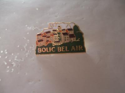 PINS  VILLE DE BOUC BEL AIR  BOUCHES DU RHONE