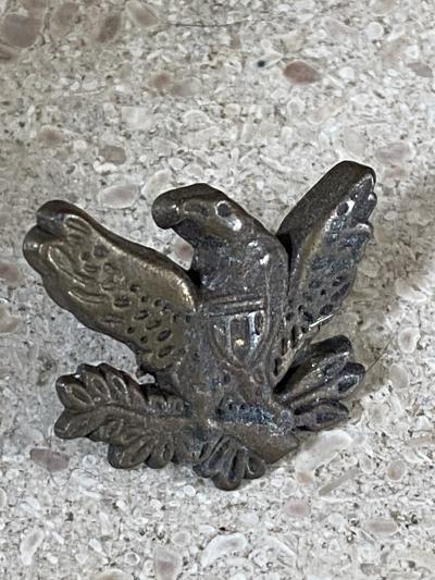Pin s Oiseau
