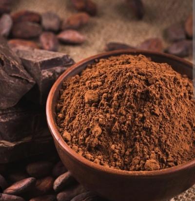 Poudre de Cacao 100% Pure C�te D ivoire 100g