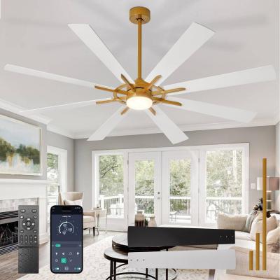 Grands ventilateurs de plafond avec �clairage: Ventilateur de plafond ext�rieur