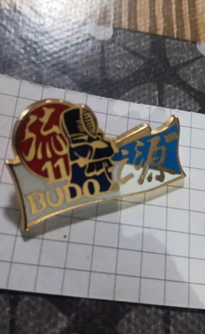 Pin's Budo 11 Arts Martiaux Rare Zamac rare Ref 3249