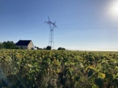 Terrain+couesmes+0+m%26sup2%3B+0+pi%26egrave%3Bces