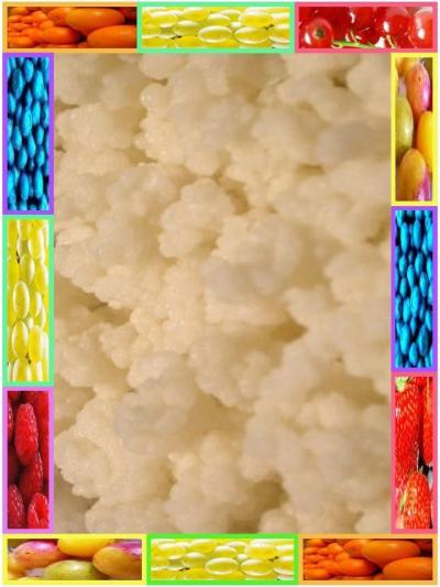 KEFIR DE LAIT 20 g grains frais