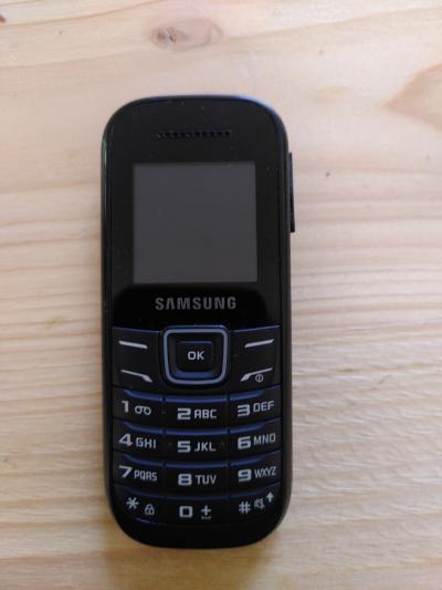 Samsung GT E12001   Pour pi�ce