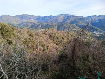 Terrain+berre-les-alpes+10000+m%26sup2%3B+0+pi%26egrave%3Bces