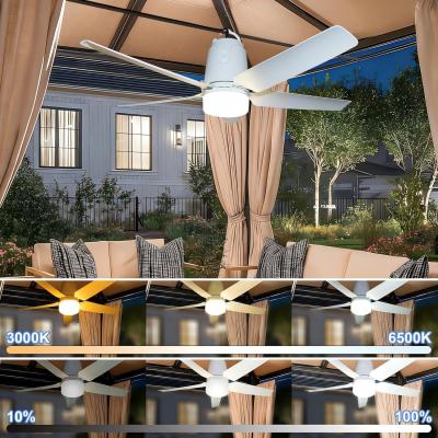 Ventilateur Plafond Exterieur,Cable 5 M�tres, Eclairage 3000 6500K, 10S7H1