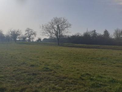 Terrain+chatillon-sur-loire+744+m%26sup2%3B+0+pi%26egrave%3Bces