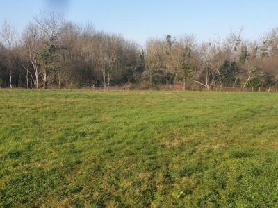 Terrain+chatillon-sur-loire+943+m%26sup2%3B+0+pi%26egrave%3Bces