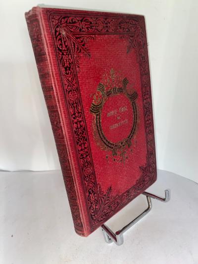 Henri van Looy Le cabinet du Docteur Noir   Causeries sur la physique 1883