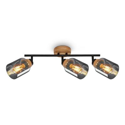 Plafonnier Pivotant en Verre Fum�, Lampe pour Salon, Chambre et Cuisine
