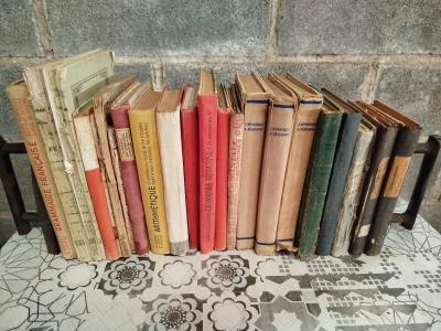 Lot livres scolaires anciens (manuels, Math�matiques, Histoire,...