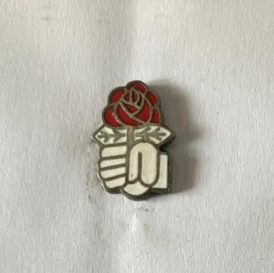 12   Pin's ROSE DU PARTI SOCIALISTE   SOCIALISME